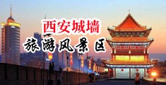 插黑逼视频网站中国陕西-西安城墙旅游风景区